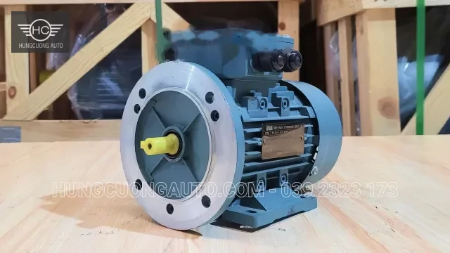 Động cơ điện 3 pha 0,18 kW (0,25 HP)
